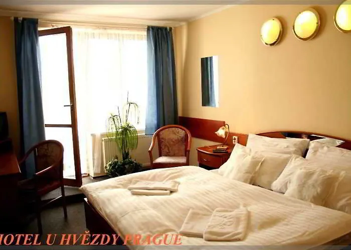 호텔 U Hvezdy 3*