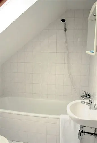 Hotel U Hvezdy Prague