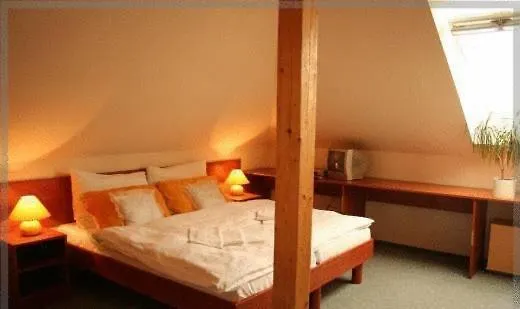 U Hvezdy Hotel 3*